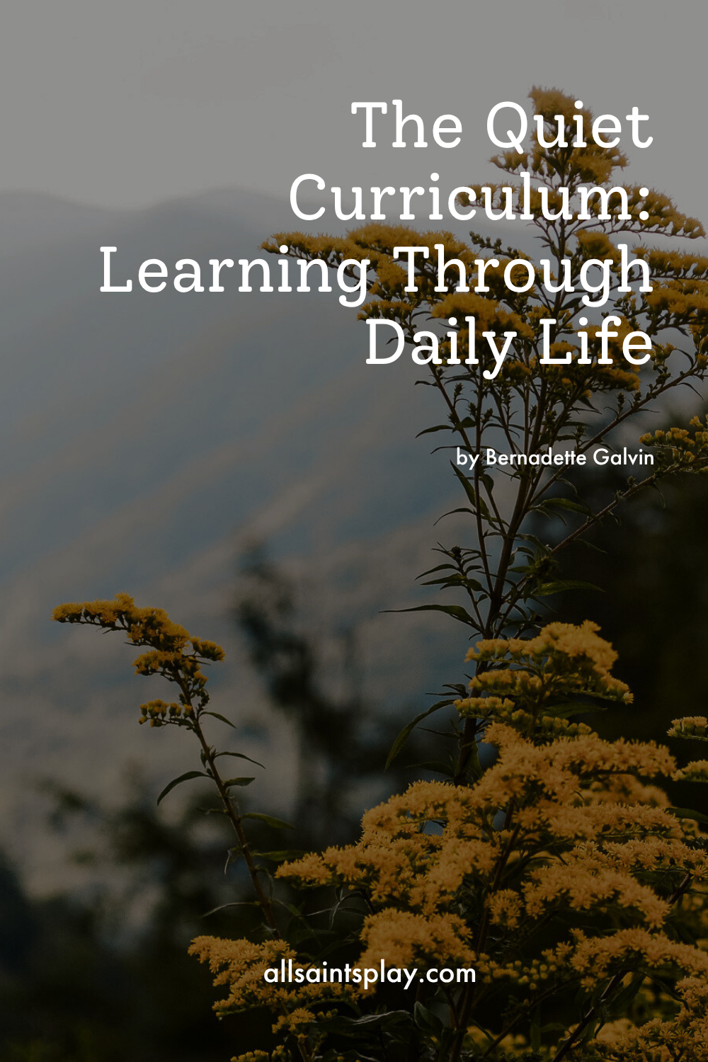 The Quiet Curriculum: Learning Through Daily Life